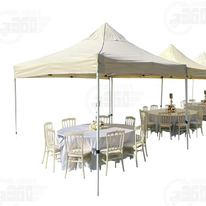 Organizasyon Firmaları Model 6